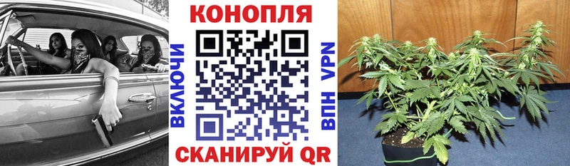 Наркошоп купить Галлюциногенные грибы  Героин  Альфа ПВП  МЕФ  Бодайбо