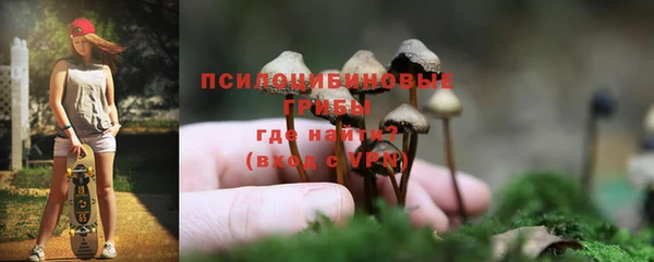 спиды Кинешма