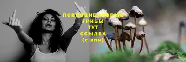 MDMA Premium VHQ Киреевск